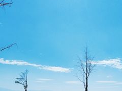 -昆明滇池国际会展中心