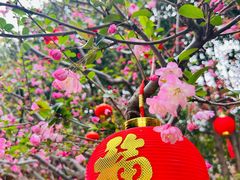 -龙华寺