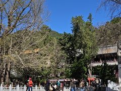 -潭柘寺景区