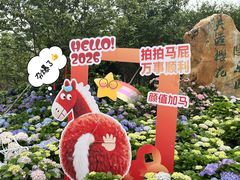 -天适樱花悠乐园