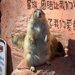 点击看大图 -奇幻萌宠部落(映月湖环宇城店)