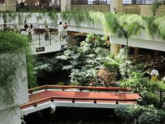 -白天鹅宾馆-宏图府餐厅