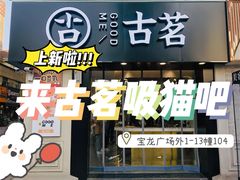 门面-古茗(洛阳宝龙广场店)