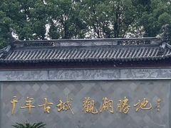 -观潮胜地公园