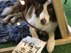 -圆融星座购物中心