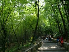 -灵岩山风景区