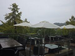 -逸廊大堂吧-下午茶·简餐-千岛湖自由洲际殿