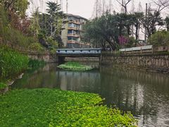 -上海市普陀区文化馆