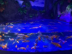-左海海底世界