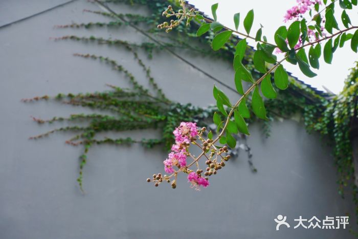 苏州严家花园图片