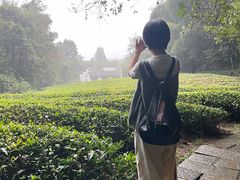 -敬亭山风景名胜区