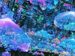 -天津梵高星空艺术馆(天河城旗舰店)