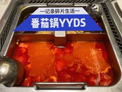 番茄锅底-海底捞火锅(老城根店)
