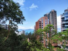 -香港大学
