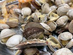 -添福来墨鱼饺子 · 海鲜东北菜(大连星海·黄浦路店)