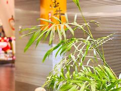 -金井日本料理(丽柏广场店)