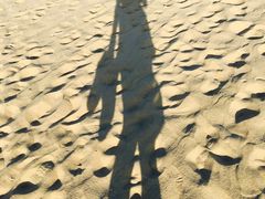 -普陀山风景名胜区-千步大沙