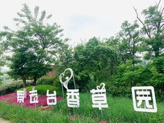 -紫云台香草园