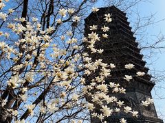 -玲珑塔公园