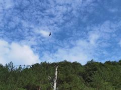 -宁波五龙潭景区