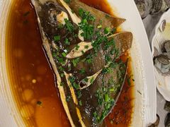 -魚當家
