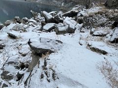 -叠溪松坪沟景区