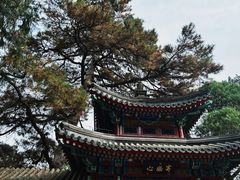 -香山公园