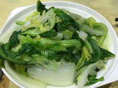杂菜-渔文乐农庄