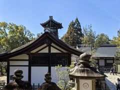 -奈良公园