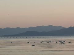 -深圳湾公园(南山区)