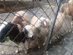 -长白岛森林公园