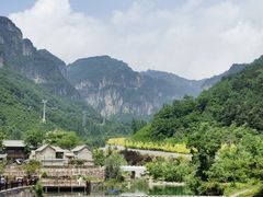 -王莽岭风景区