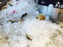 -Oyster Talks 四度蚝法餐厅