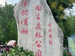 -合肥滨湖国家森林公园