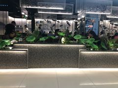 -新辣道鱼火锅(航天万源店)