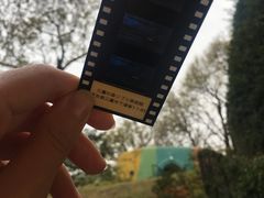 -三鹰之森吉卜力美术馆