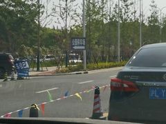 -上海滨江森林公园·停车场