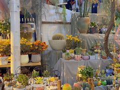 -循礼门鲜花花市(武汉循礼门店)