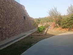 -伏羲山旅游区
