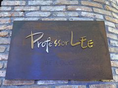 -Professor Lee (K11艺术中心店)