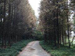 -上海市保健医疗中心(华东疗养院)