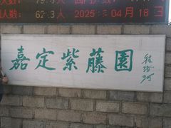 -嘉定紫藤园