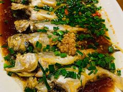 清蒸小梅鱼-浙C老邻舍(西城海错店)
