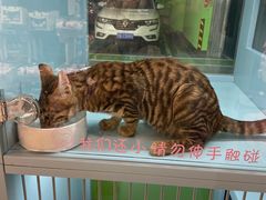 -FAELING PETS美天灵宠物(合生汇店)
