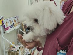 -艾贝尔宠物医院 ·中兽医·宠保定点(北门桥店)