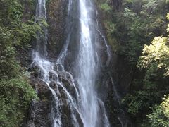 -永泰中国云顶