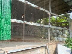 -红旗山庄(圭峰山店)