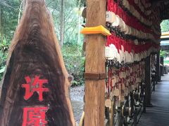 -莫里热带雨林景区