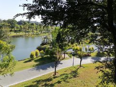 -王借岗森林公园