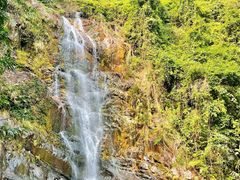 -鼎湖山风景区